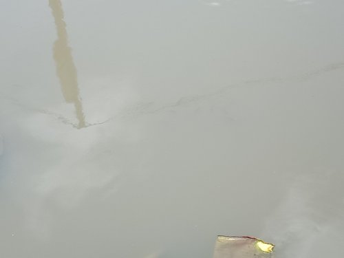 IMG20180517124550.jpg