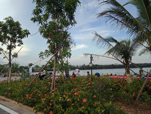 IMG_20180703_211818.jpg
