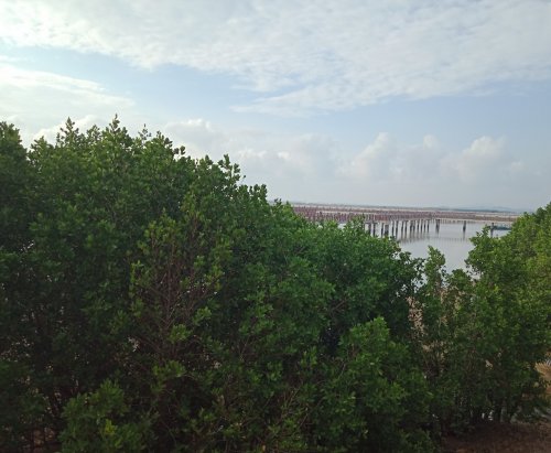 IMG_20180927_083528.jpg