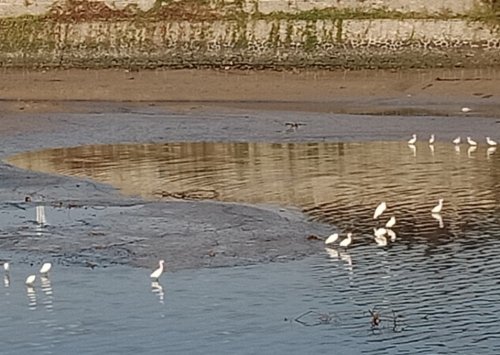 IMG_20181129_105303.jpg