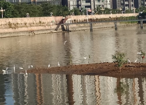 IMG_20181129_105102.jpg