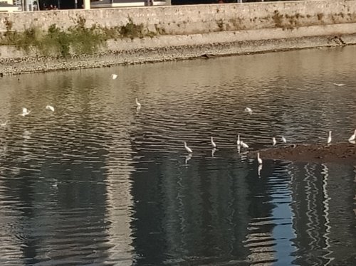 IMG_20181128_225156.jpg