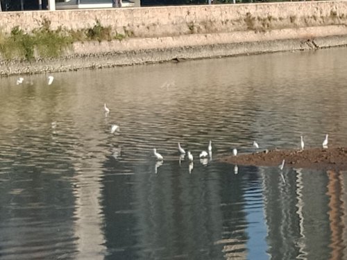 IMG_20181128_225217.jpg