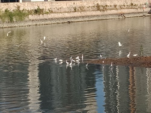 IMG_20181128_225259.jpg