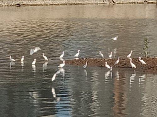 IMG_20181128_225458.jpg