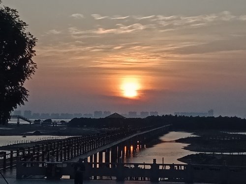 IMG20181123070336.jpg