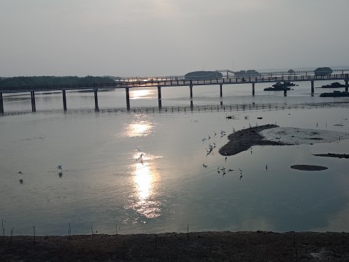 IMG20181108074637.jpg
