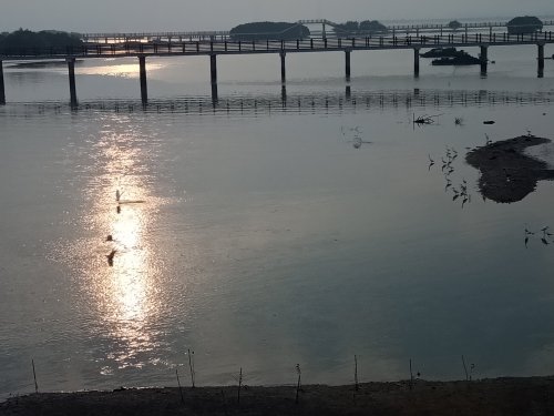 IMG20181108074841.jpg