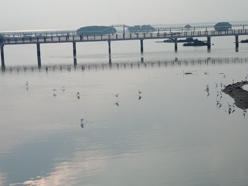 IMG20181108075617.jpg