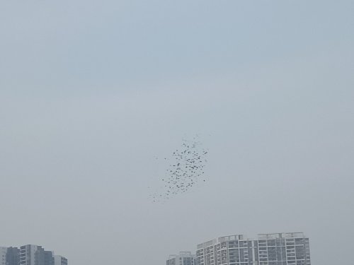 IMG20181108080526.jpg