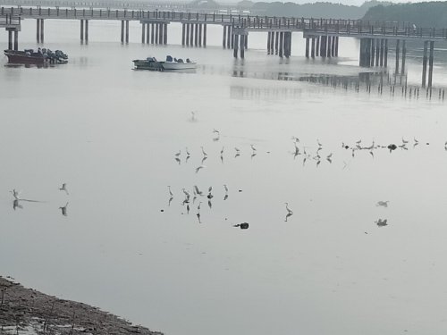 IMG20181108080856.jpg