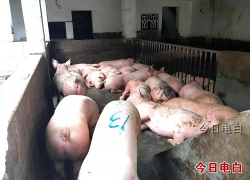 微信图片_20190111214845.jpg
