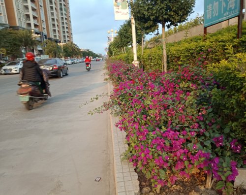 IMG_20190124_173307.jpg