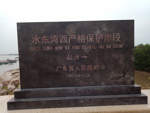 IMG20190104074239.jpg
