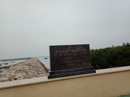 IMG20190104074234.jpg