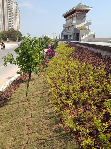 IMG20190201114222.jpg