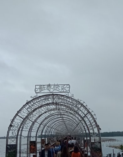 IMG_20190205_162001.jpg
