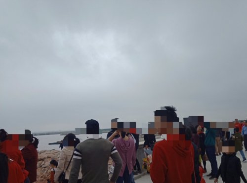 IMG_20190205_165527.jpg