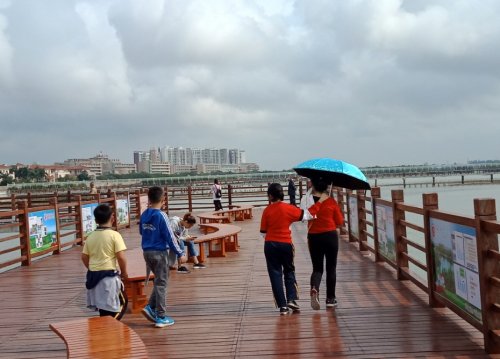 IMG_20190302_152802.jpg
