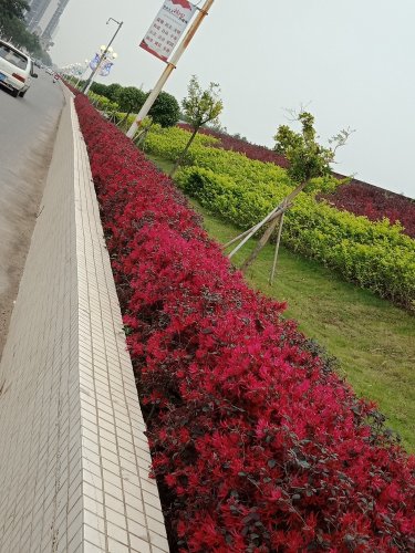 IMG20190309152929.jpg