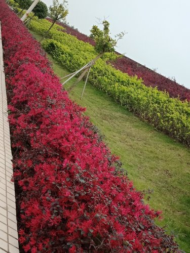 IMG20190309152932.jpg