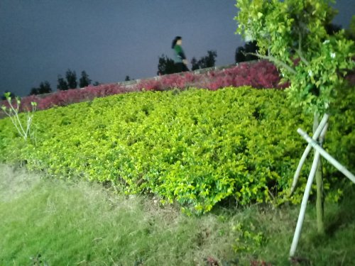 IMG20190310185554.jpg