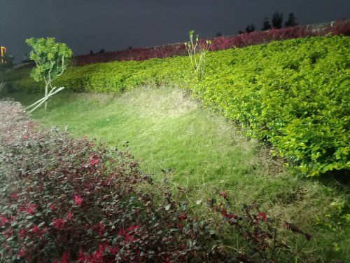 IMG20190310185627.jpg
