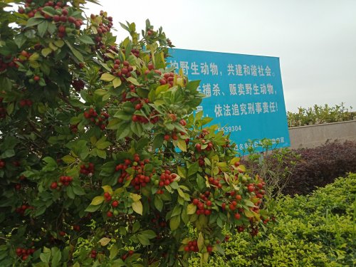 IMG20190310104206.jpg