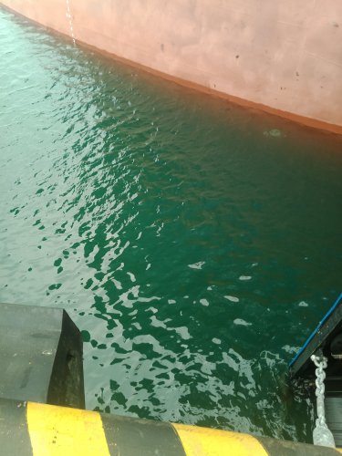 IMG20190322102912.jpg