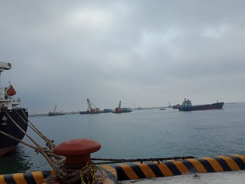 IMG20190322100116.jpg