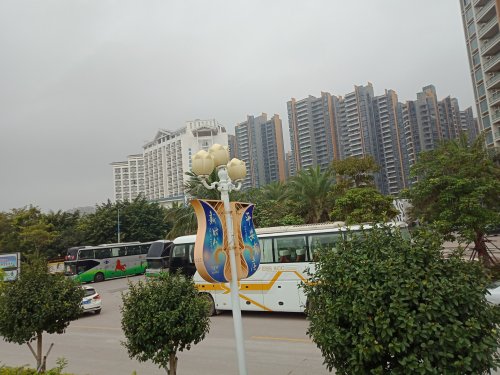 IMG20190328085147.jpg