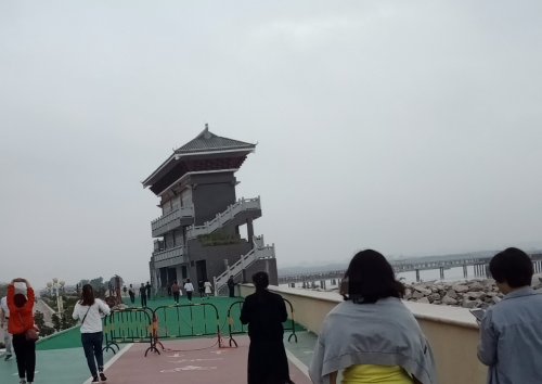 IMG_20190328_135011.jpg