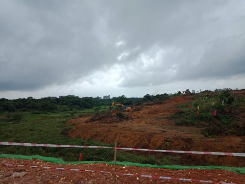 IMG20190329110511.jpg