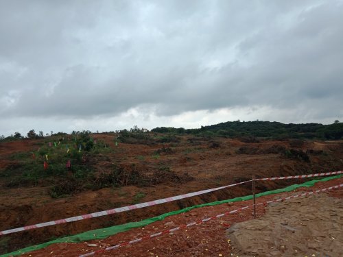 IMG20190329110514.jpg