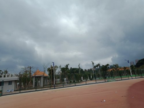 IMG20190329112945.jpg