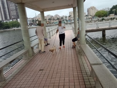 IMG_20190428_085556.jpg
