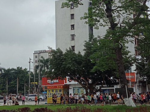 IMG20190428074146.jpg