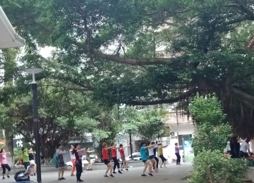 IMG_20190428_092630.jpg