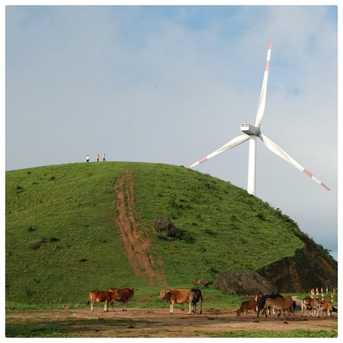 DSC_0077-02.jpeg