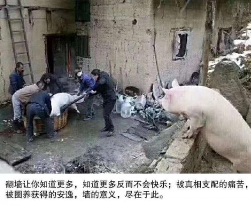 50537A62-437E-46DB-AE44-ED0BB0652BA1.jpeg