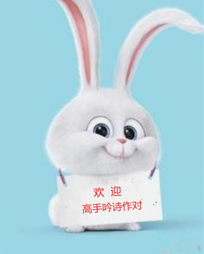 截图1560173032.png