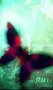 20051919624326.gif