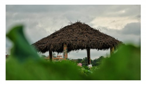 DSC_0843-01.jpeg