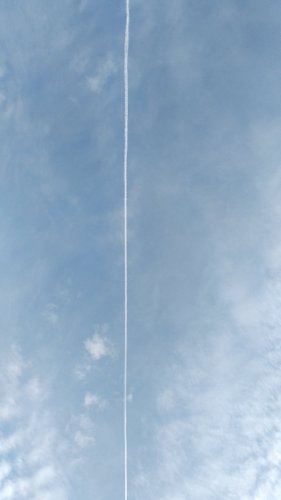 IMG_20190712_070045.jpg