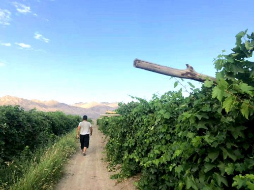 微信图片_20190822003040.jpg