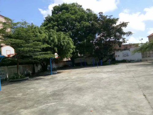 psb542HHHEE.jpg