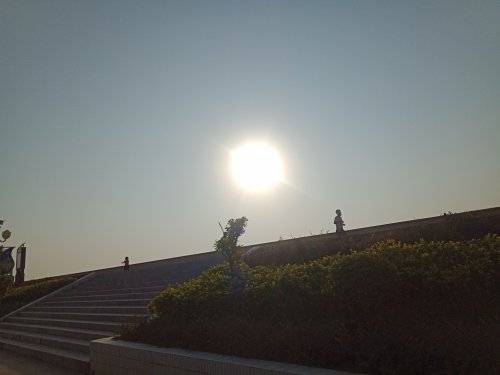 IMG20190925073558.jpg
