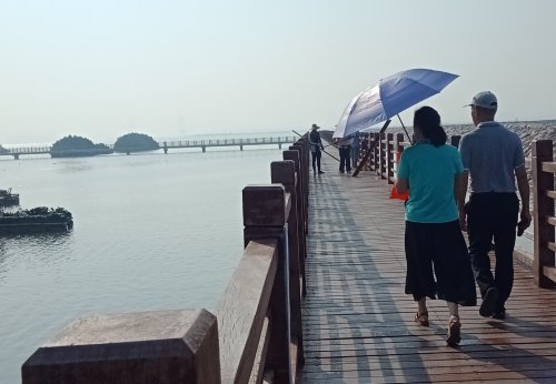 IMG_20190928_094003.jpg