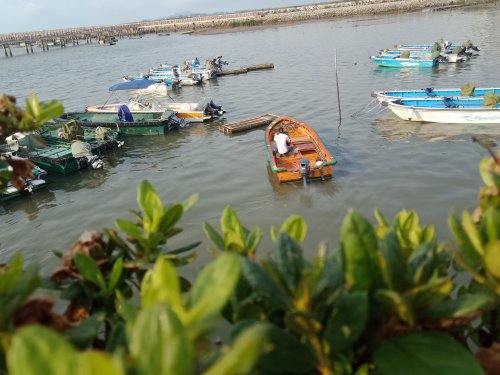 IMG20190426075444.jpg