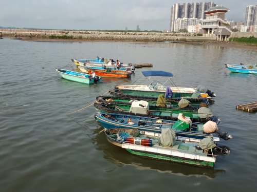 IMG20190426080000.jpg